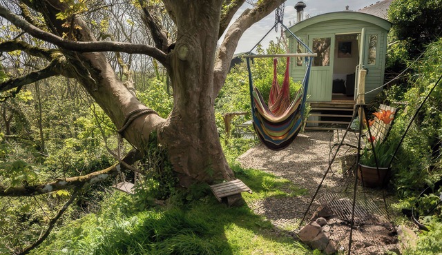 THE SHEPHERD HUT, pet friendly, country holiday cottage in Solva