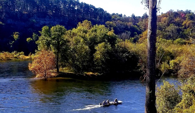 The Shoals Lodge-Amazing White River views!