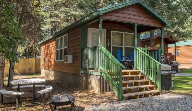 The Shooting Star Cabin #11