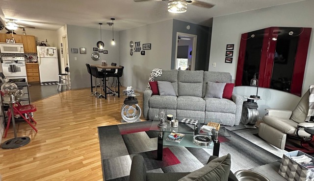 "THE SHOP" retro 60's