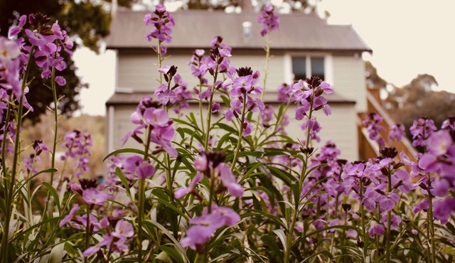 The Signal Box-Riverside Accommodation