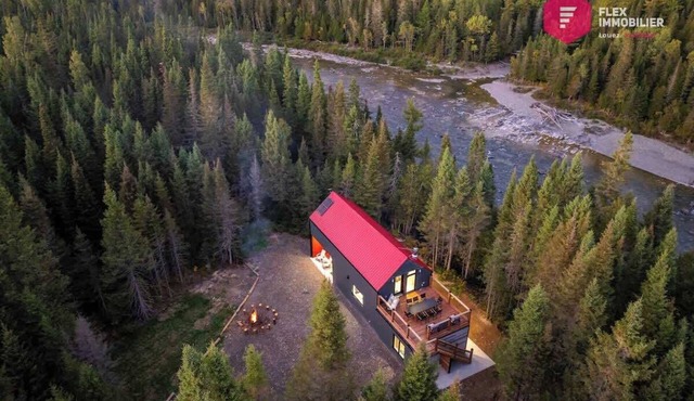 The Singing Salmon of Bonaventure - A wild escape