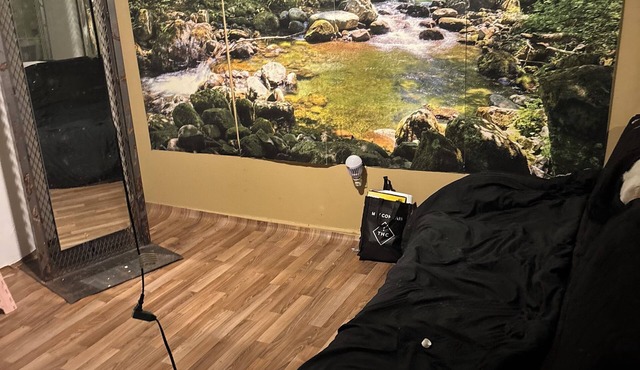 The Single Vacation Rental Dwelling