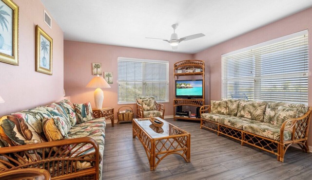 The Skimmer Condo: Downtown on the Bay - Nature Views - Bird watching