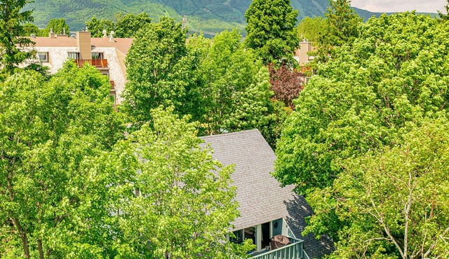The Sky House | Nested in Trees | Indoor & outdoor Pool | AC | BBQ | Sauna | Gym