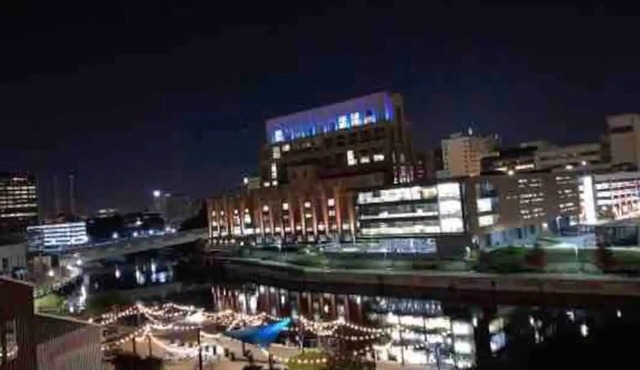 The Skyline Penthouse : Downtown ( Luxury )