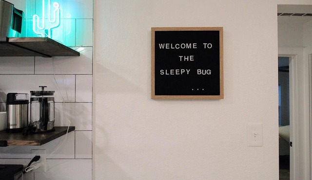 The Sleepy Bug