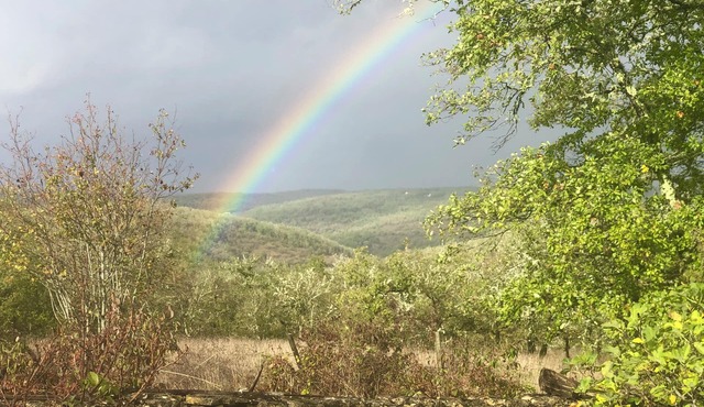 The small sheepfold of Mas du Prieur, exceptional setting, swimming pool, nature