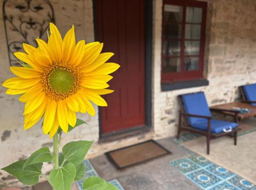 The Smelters Home Burra