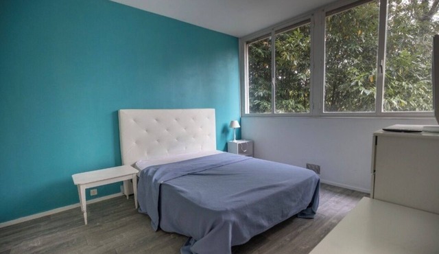 The south-facing apartment