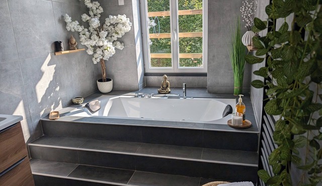 THE SPA - VILLA VALMY - HYPERCENTRE