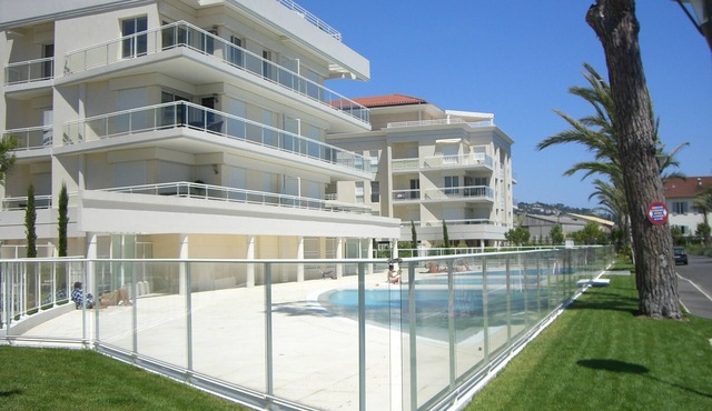 The spectacular Royal Palm