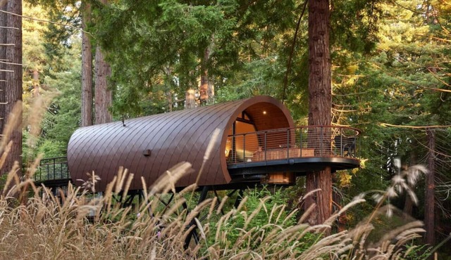 The Spectacular Spyglass Treehouse