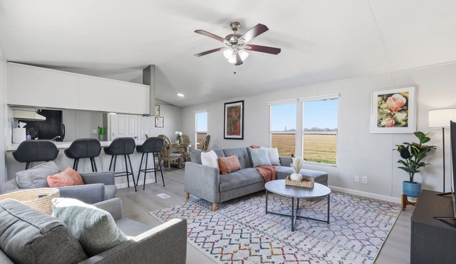 The Sports Pad, Texas Country Bliss, V-Ball & Mixed-Use Turf Field & Cricket