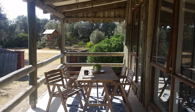 THE SPRAY ON THE 90!