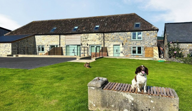 The Spud Shed - UK47419