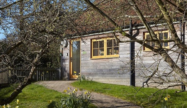 The Squeak at Moor Farm