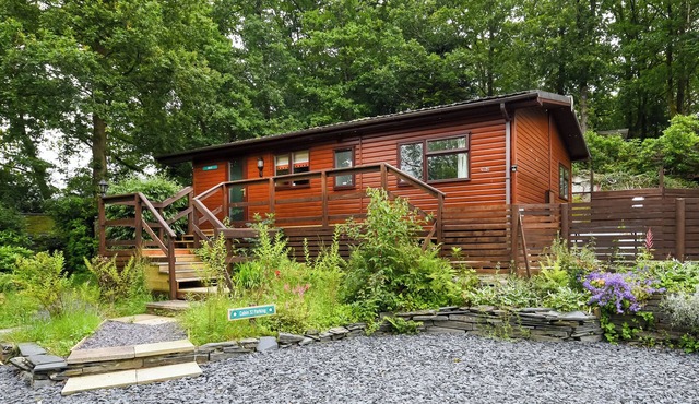 The Squirrels Drey C32 - UK45927