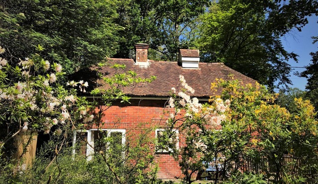 The Squirrels is a charming detached cottage in the New Forest National Park