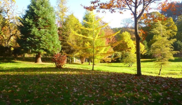 The stable - SAINT LEGER SOUS BEUVRAY