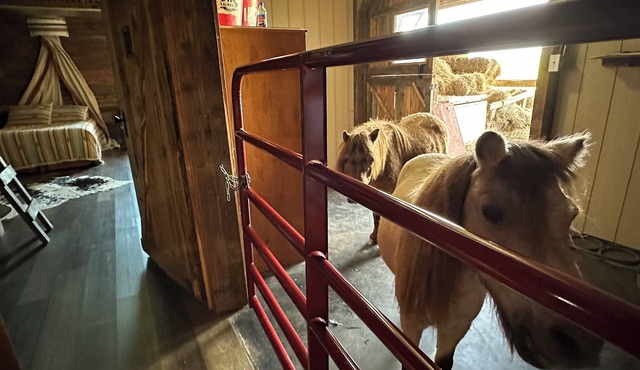 The Stable- at Donkeytown, barndominium on a 40 acre guest ranch