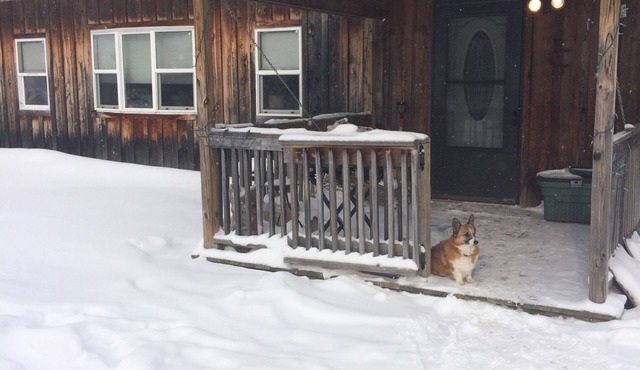 The Stable at The Crosspatch