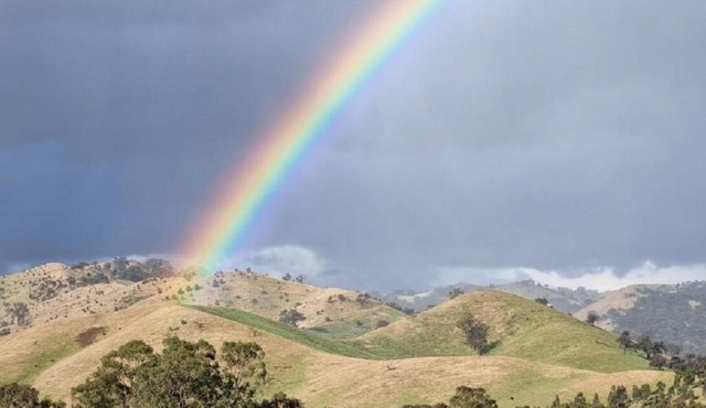 The Stables - Farm Stay