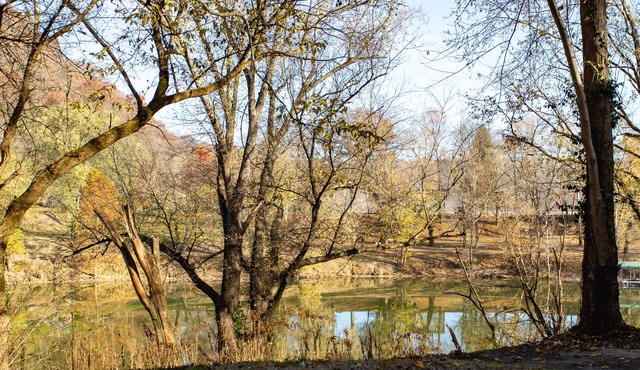 The Stagg House on the Ky River