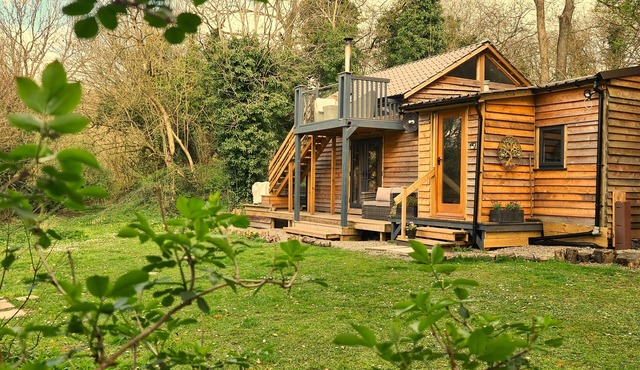 The Star Gazing Tree House