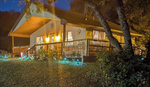 The stars are shining bright . Come and enjoy this pet friendly cabin.