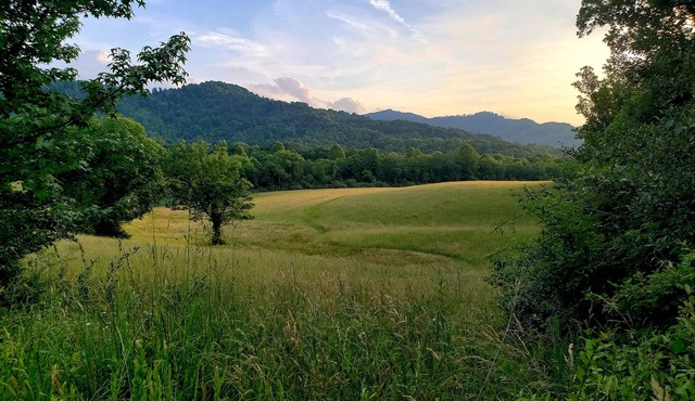 The Storybook Cottage on 430 ac farm. Spa, trails, gorge overlook, 7 min Fvlle