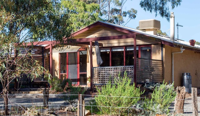 The Studio under the gum tree.
