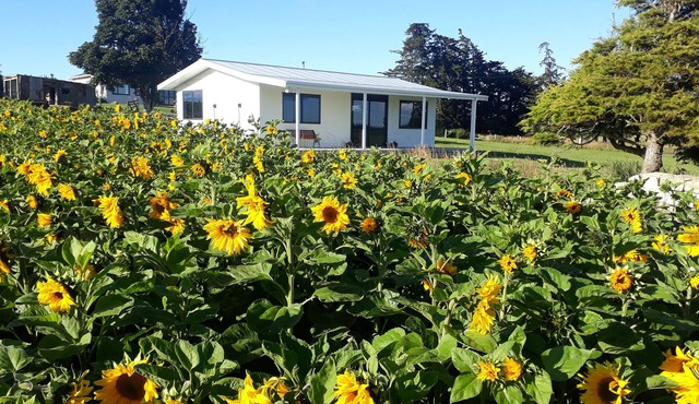 The Sun set Cottage 5min from Oamaru or Kakanui