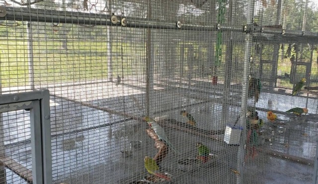 The Sunflower Studio Cottage.