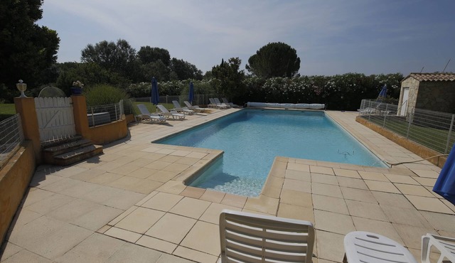 The sunny cherry tree.