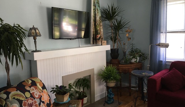 THE SUNNY HOUSE. Free park pass. No cleaning fees! 20% weekly discount.