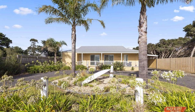 THE SURFING SEAGULL PET FRIENDLY