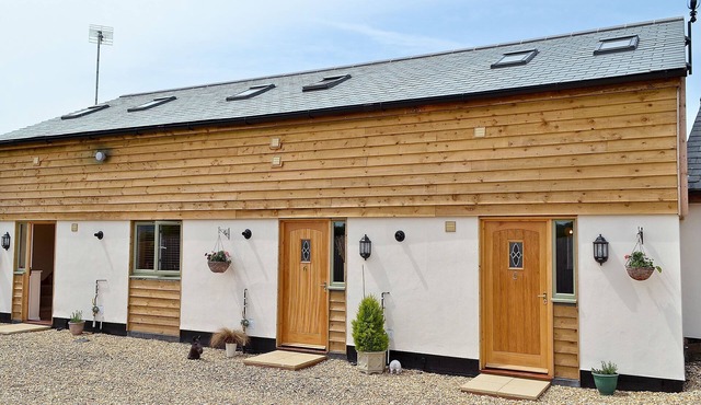 The Swallows - 28835