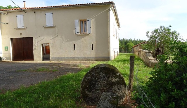 The swallows of Montsec