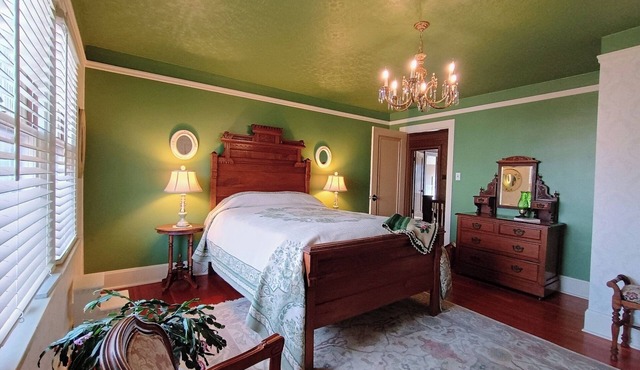 The Swan - Celebrating Wildlife Conservation