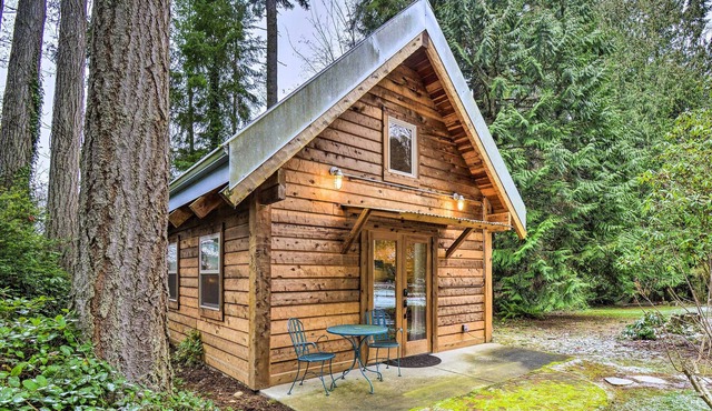'The Sweetest Little Cabin' w/ Fireplace!