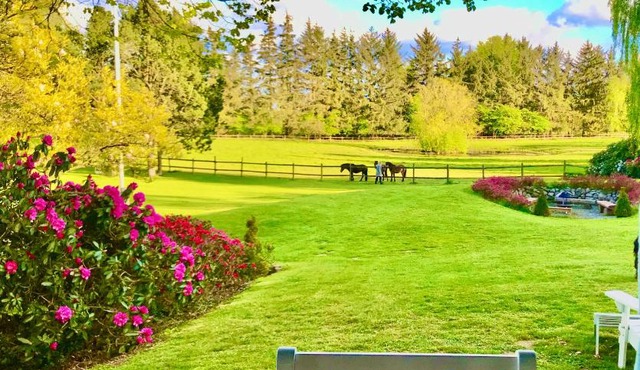 The Swiss hut 30 minutes from Copenhagen