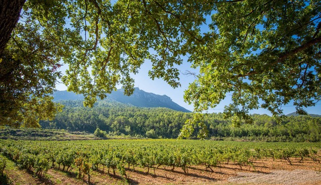 The Syrah and Chardonnay villas: 10 superb rooms in the heart of a vineyard.