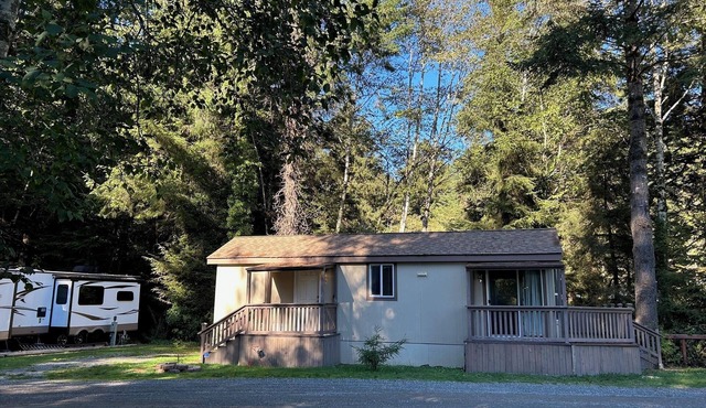 The Tall Tress Cabin - 1-bedroom in Klamath, CA