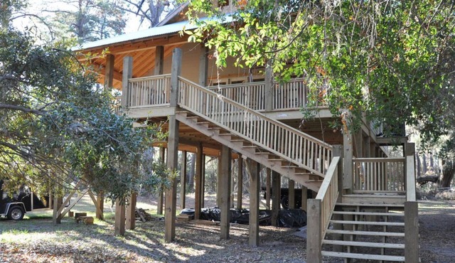 The Tidal Flat on Sapelo. Scenic ferry ride takes you to a different world.