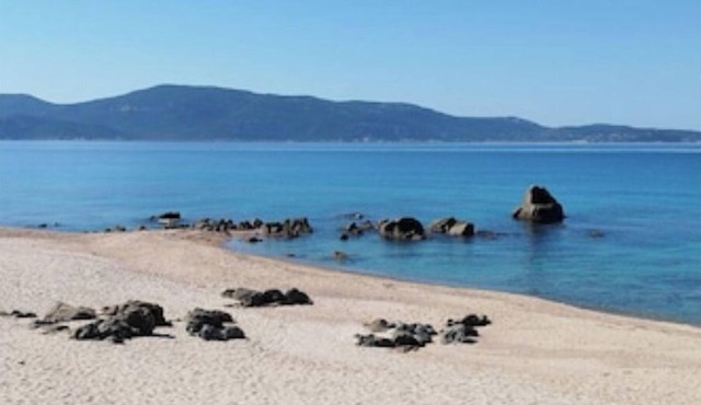 The Tinutella 5, the tinutella