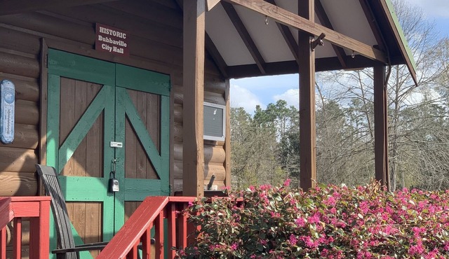 The Tiny Cabin! Lake Seminole! Waterfront! Fishing! Nice dock with lift!