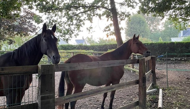 The TINY HOUSE at Le Haras.