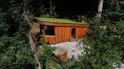 The Toads Hideout - A Cabin in an Ancient Welsh Woodland