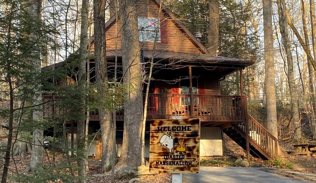 The Toasted Marshmallow - Cabin near the Lake